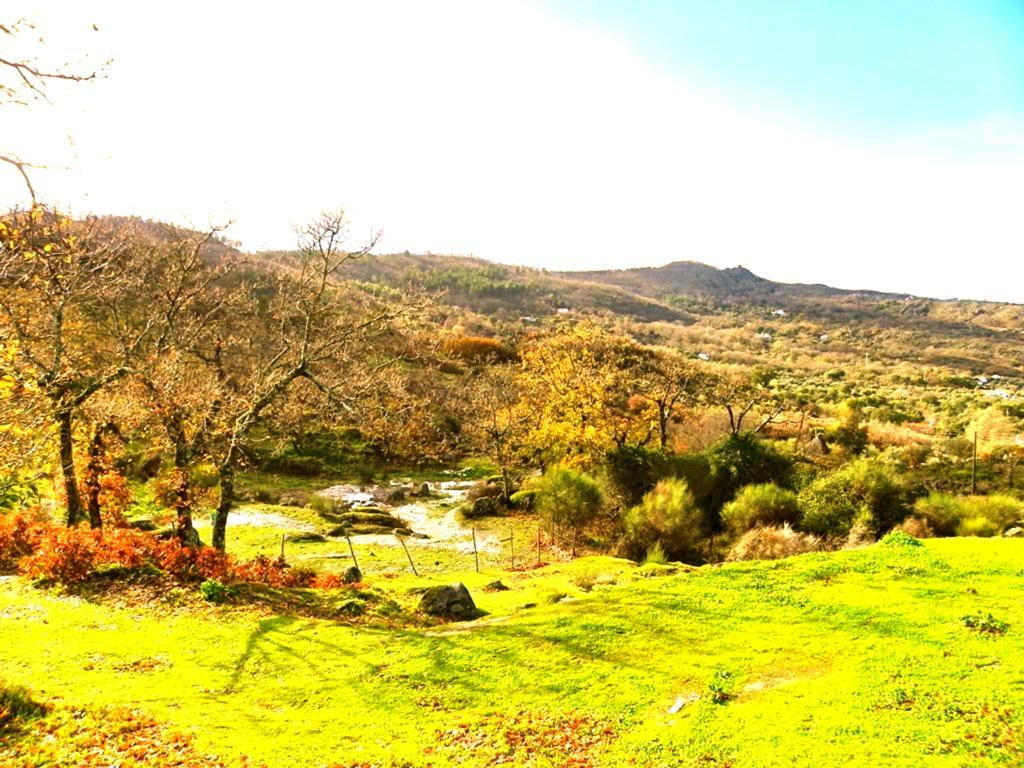 金塔玛维欧酒店 Marvão 客房 照片